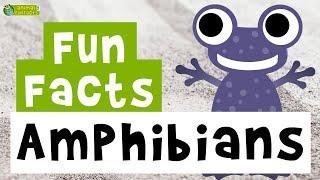 Amphibians  - Cartoon Fun Facts - Animals for Kids - Educational Video