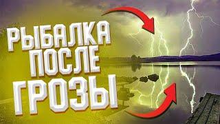 РЫБАЛКА В ПЕСКАХ 30.07.2021