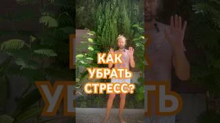 Как убрать стресс и быстро зарядиться энергией? Больше инфы в моем канале, код Бога