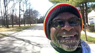INSTALL LANDSCAPE & LEAF CLEANUP