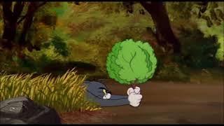 Tom and Jerry, 91 Episode - Pup on a Picnic (1955)