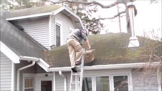 Coon removal