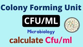 Calculate Colony Forming Units | Microbiolgy  CFU/ml Count