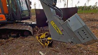 Planting Pine Saplings With Bracke P11.a Hydraulic Planter