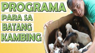 HEALTH PROGRAM FOR YOUR KID GOATS! || MAKE THEM HEALTHY || GOAT FARMING