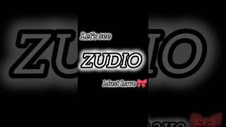 "Zudio Lip Gloss Swatches  Budget Beauty Review!"