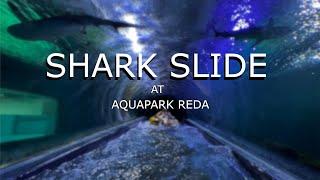 FANTASTIC SLIDE WITH SHARKS AT AQUAPARK REDA [POV]