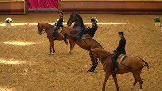 Horse-riding in the French style