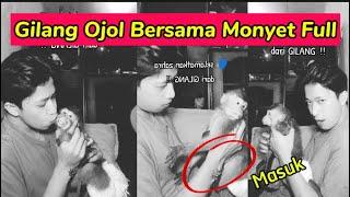 Vidio Gilang Ojol Sama Monyet Di Sofa, Full Vidio Gilang Ojol,