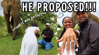 We're ENGAGED!!! The Most ROMANTIC PROPOSAL!