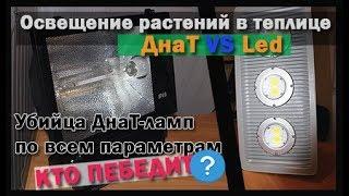 Освещение растений  Сравнение ДНАТ или LED кто победит ?