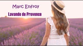 LAVANDE DE PROVENCE - Marc Enfroy