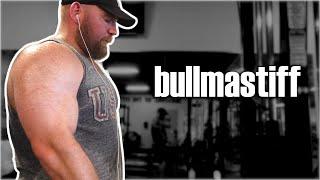 Review of My Program "Bullmastiff" (What the Internet Says)