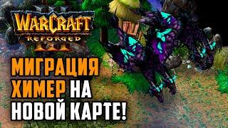 МИГРАЦИЯ ХИМЕР НА НОВОЙ КАРТЕ: TGW (Ne) vs Starbuck (Orc) Warcraft 3 Reforged