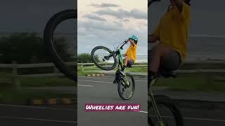 Mountain bike wheelie