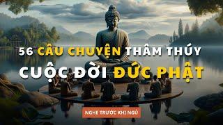 56 câu chuyện cuộc đời ĐỨC PHẬT giúp bạn THỨC TỈNH | Triết Lý Cổ Nhân