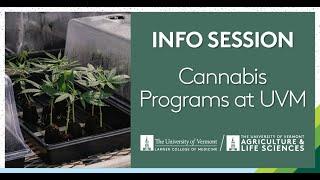 Cannabis Programs at UVM Info Session