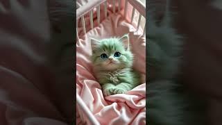 WHEN THE CAT FINDS OUT YOU’RE OUT OF TREATS!