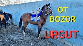 OT BOZOR SAMARQAND URGUT OT BOZOR PIRAVDA MOL BOZOR ULOQCHI OT SOTILADI ОТ БОЗОР SHURA OT BOZOR ZUR