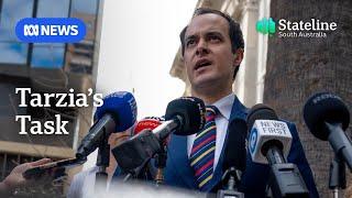 Will the SA Liberal Party learn from federal mistakes? | ABC NEWS