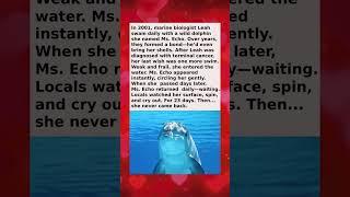  The Dolphin Kept Coming Back… Then One Day, He Stopped 🫢