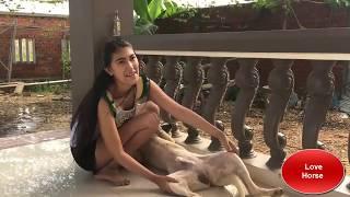 Lovely smart girl Playing Baby Cute Dogs On Rice Fields How to play with dog & Feed baby dogs P1