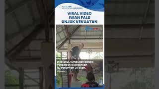 Viral Video Aksi Iwan Fals Unjuk Kekuatan, PECAHKAN 20 BATAKO dengan 1 Kali Pukulan Tangannya!