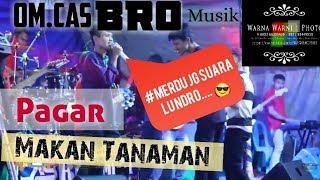 OM.CASBRO #dangdut #lawas #orkespalembang "Pagar Makan Tanaman " || WARNAWARNI || HERI CASBRO