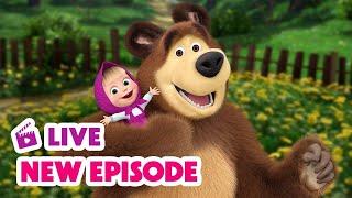  LIVE STREAM  Masha and the Bear  New Episode 