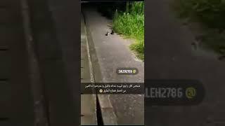 ‏شخص كان راجع للبيت لحاله بالليل واعترضوا له اثنين من اخطر قطاع الطرق  #youtube