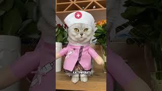 Нужно ли кастрировать кота или кошку #кот #коты #shorts