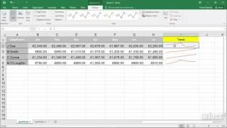 Group Sparklines - Excel 2016 Level 3