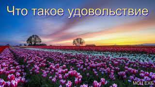 "Что такое удовольствие". А. Костенко. Беседа. МСЦ ЕХБ.