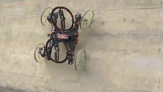 Wall climbing robot