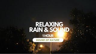 Rahatlatıcı Yağmur ve Şimşek 1 Hour Rain and Thunderstorm Sounds  Relaxing and Sleep