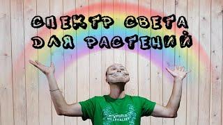 СПЕКТР СВЕТА ДЛЯ РАСТЕНИЙ. ЛУЧШИЙ СВЕТ ДЛЯ РАСТЕНИЙ