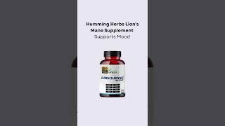 Boost Brain Power Naturally | Humming Herbs Lion’s Mane Supplement