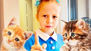 Nastya and her funny pets kittens