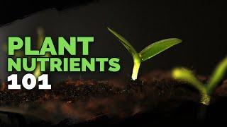 Plant Nutrition 101: All Plant Nutrients and Deficiencies Explained