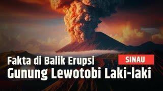 SINAU | Gunung Lewotobi Laki laki  Erupsi, Simak Fakta di Balik Letusan dan Sejarahnya