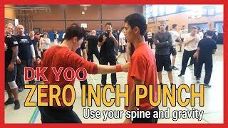 Zero inch punch(Use your spine and gravity) - DK Yoo