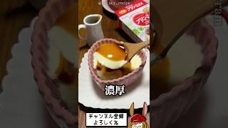 市販のプリンミクスで、超濃厚なプリン作った！
