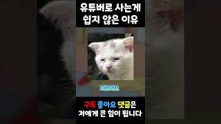 '터미널 리액션' 뇌절 버전