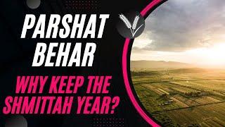 Parshat Behar 2024 The challenge of Shmittah Year - the Sabbatical year