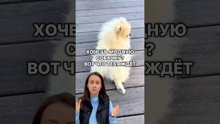  Смотри видео и гайды о том, что скрывают в ветклиниках — ссылка в инфо профиля