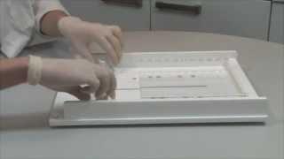 How To Cast An Agarose Gel Using The MS Screen Flexicaster