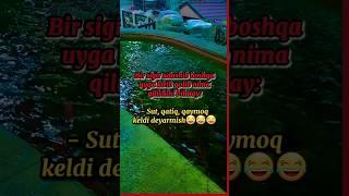 SIZ IZLAGAN QIZIQARLI KANAL #2024 #trending # #youtubeshorts #tiktok #video #uzbek #top10