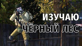 95. Изучаю Чёрный лес. Сталкер Онлайн | Stalker Online | Stay Out. RU2.