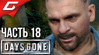 DAYS GONE (Жизнь После)  Прохождение #18  БУХАРЬ ЗАБУХАЛ