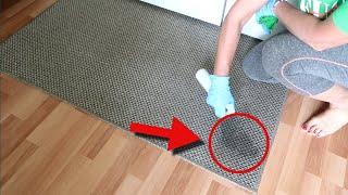 How to remove the smell of urine from a sofa, a palace, a 100% working method%